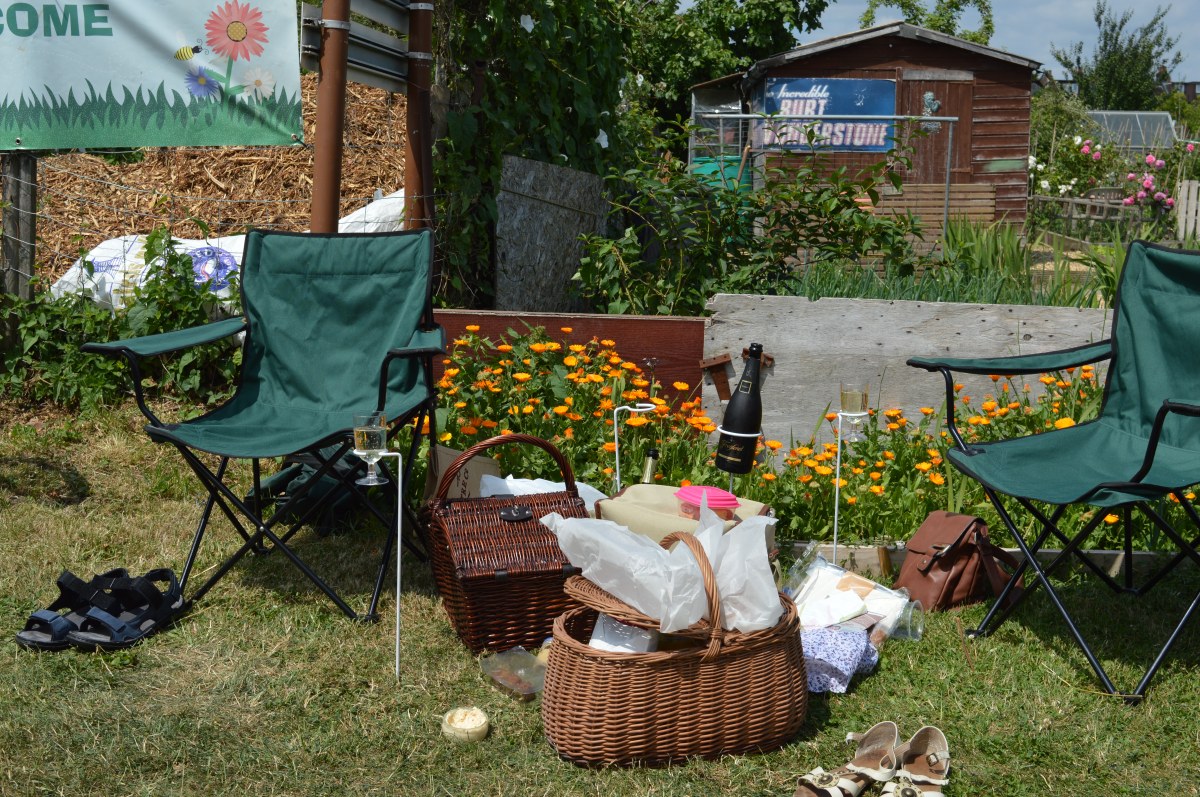 Mikron theatre picnic